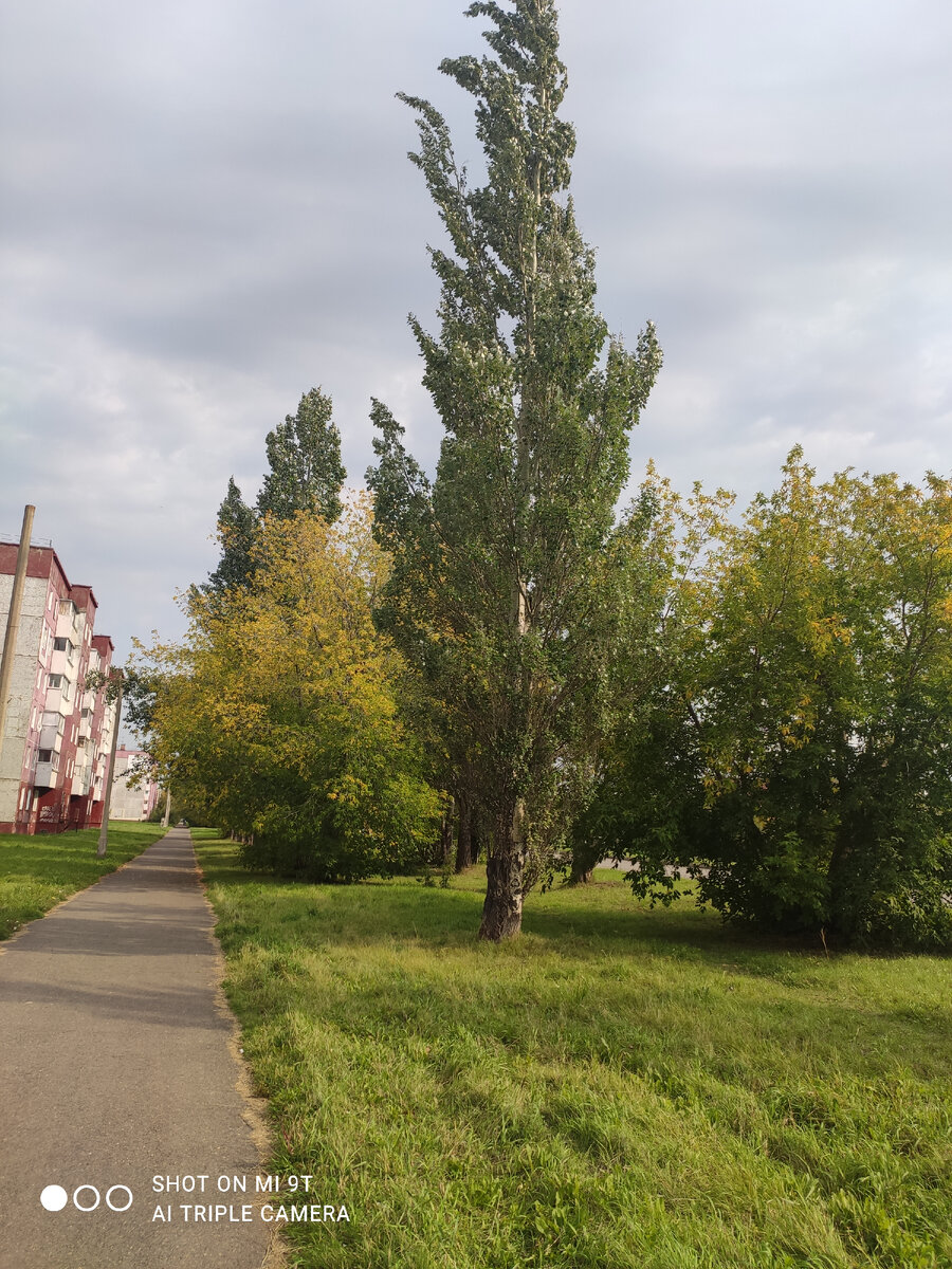 Погода в Сибиии