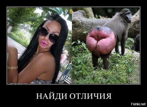 Фото взято из интернета 