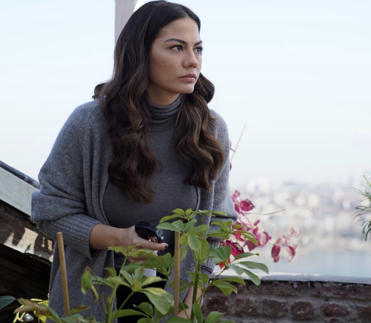 Фото с яндекса