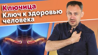 Почему важна ключица? Самые хрупкие места организма.