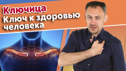 Почему важна ключица? Самые хрупкие места организма.