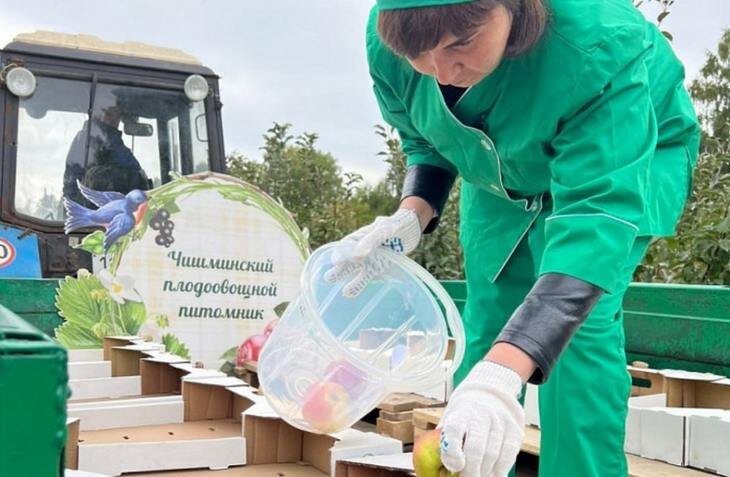    Крупнейший садовый инвестпроект в Башкортостане принесет по 30 тонн яблок с гектара