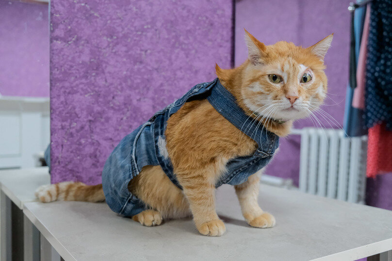 © ФОТО: ИД «ВОЛГОГРАДСКАЯ ПРАВДА» / АРХИВ.