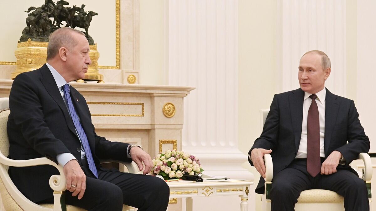    Президент РФ Владимир Путин и президент Турции Реджеп Тайип Эрдоган во время встречи© РИА Новости / Сергей Гунеев