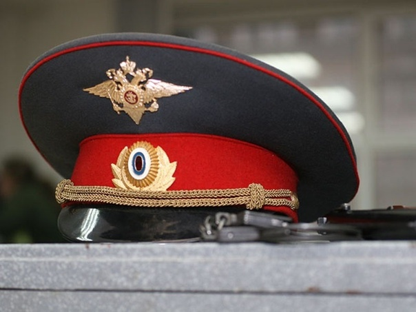 Яндекс картинки. Свободный доступ.