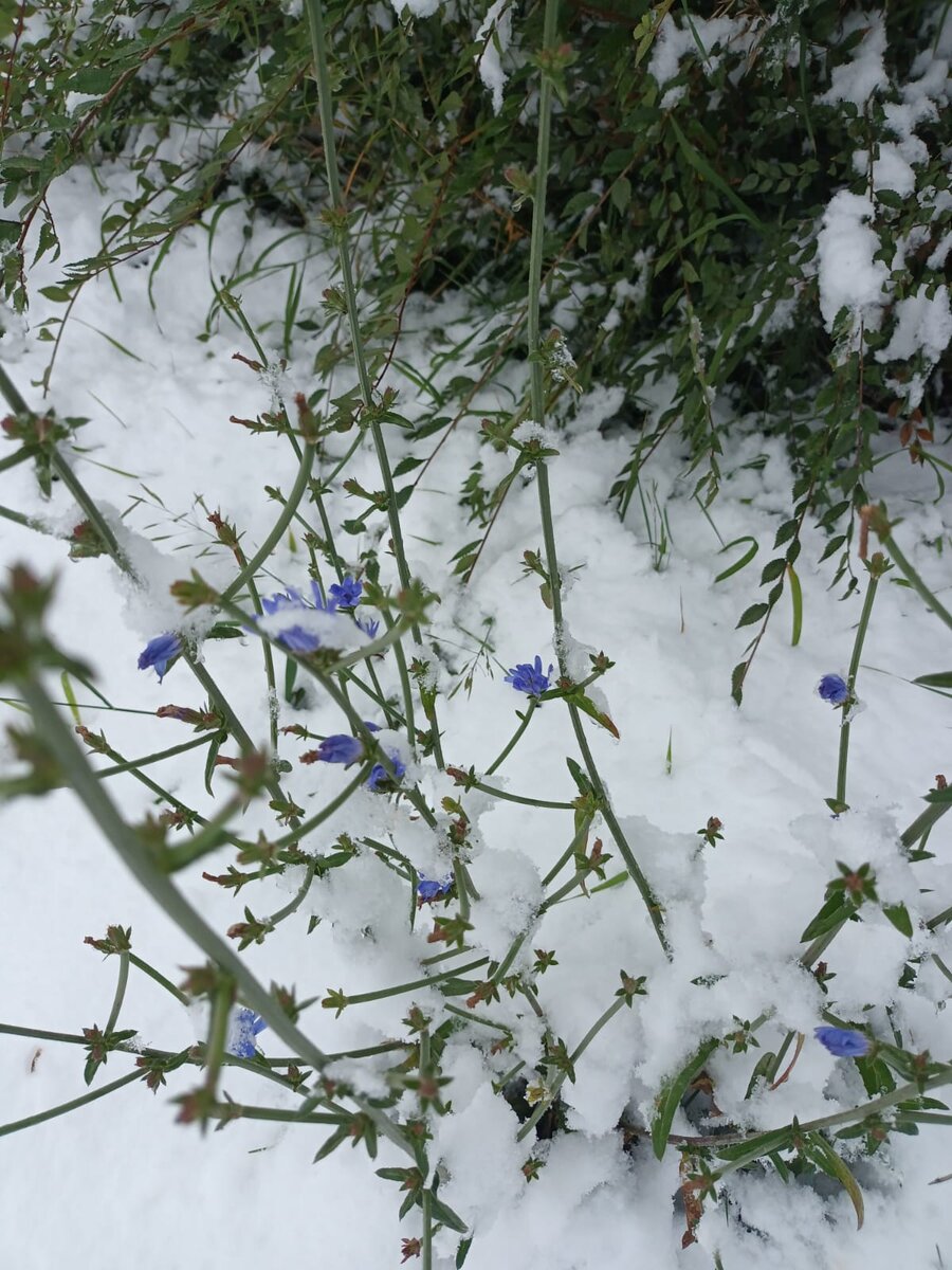 фото из семейного архива