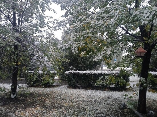     Фото: belokurihagorod