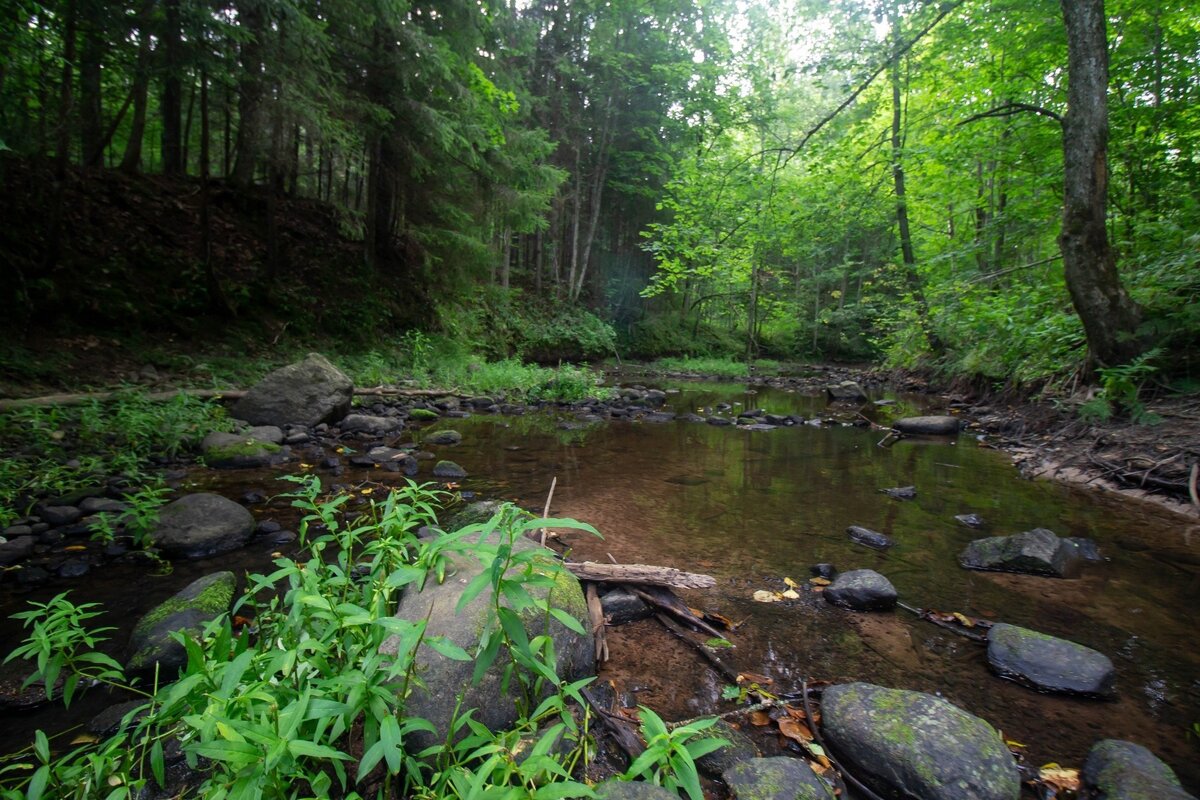 Каменистые перекаты на Льзне