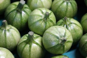    Фото: pixabay.com Анита Ким