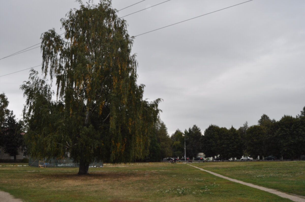 фоо крассная площадь