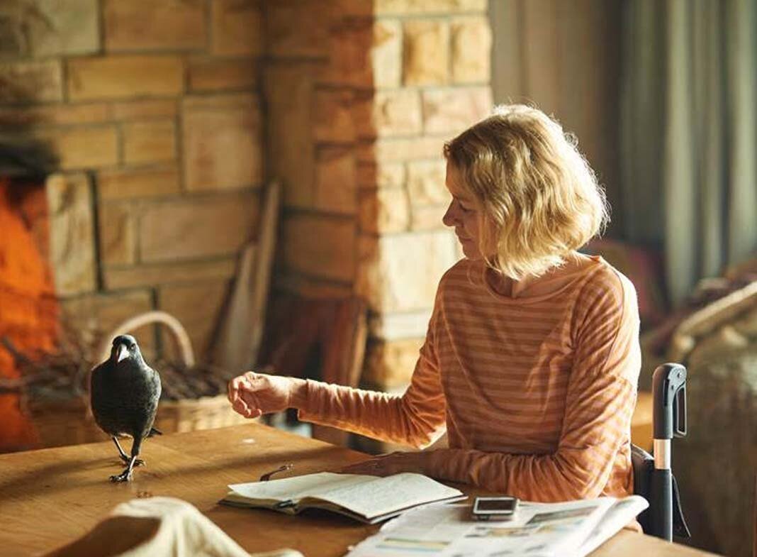 история семьи блум (2020) наоми уоттс. семья блум фильм. история семьи блум (2020) наоми уоттс. история семьи блум 2021. история семьи блум 2021.