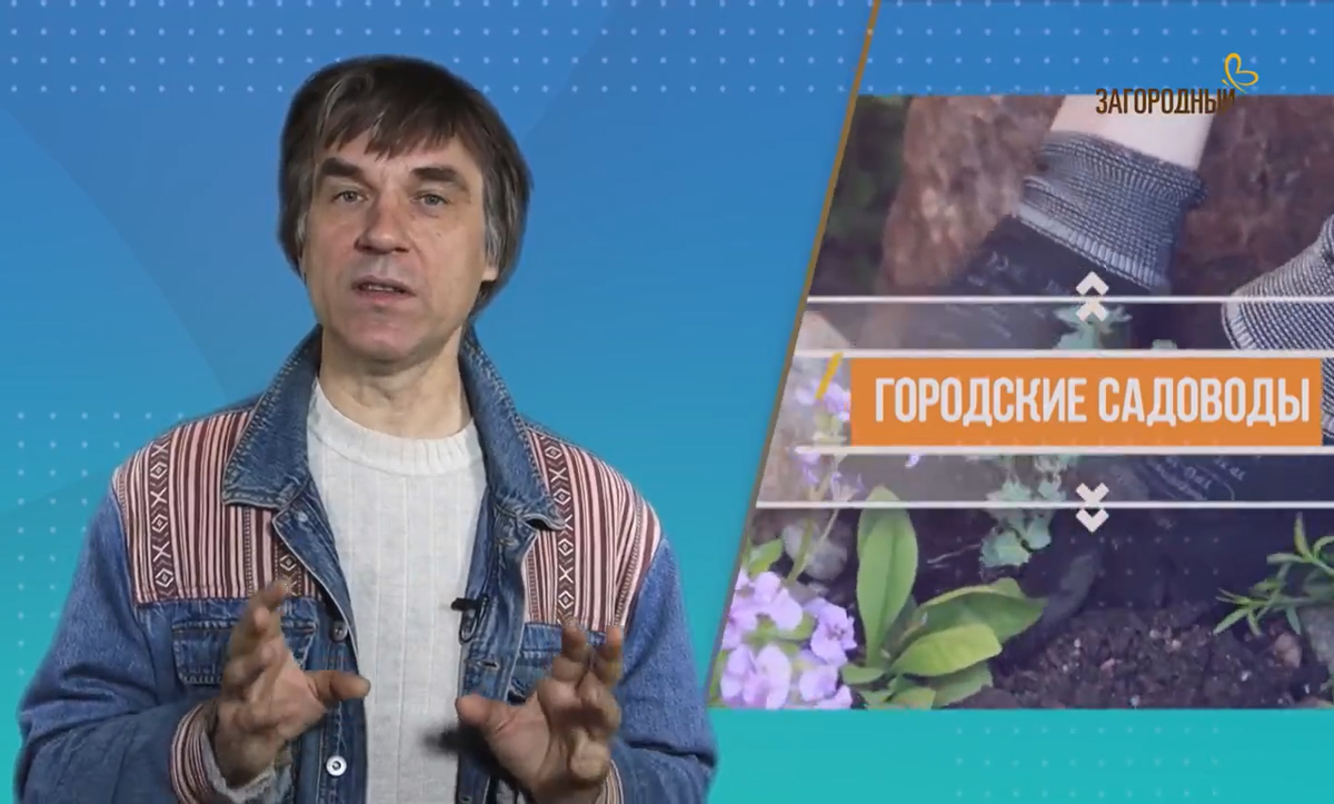 Мы попросили ведущего Андрея Князькова рассказать о работе над проектом "Городские садоводы". Не забудьте поставить лайк!