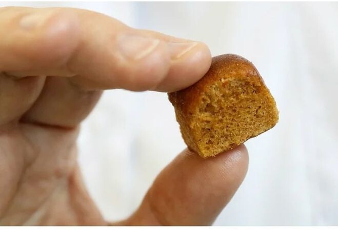 (фото из открытых источников)