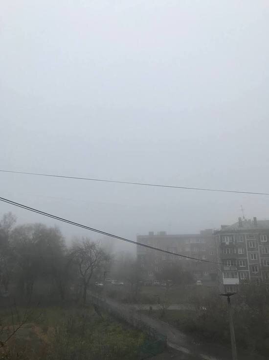     Фото: МК в Кузбассе