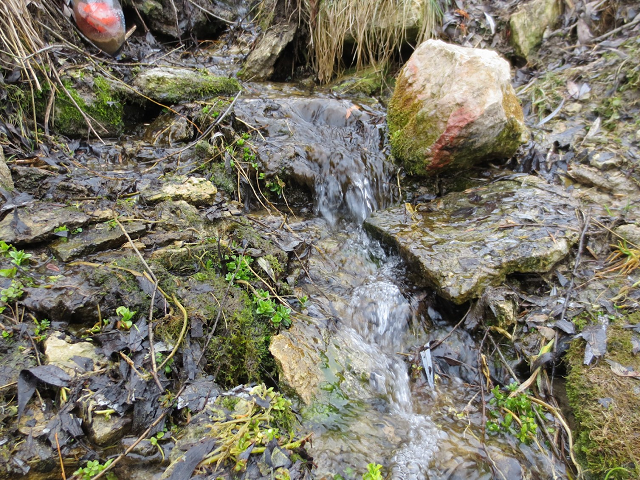 Ручьи объединяются и становятся полноводными.