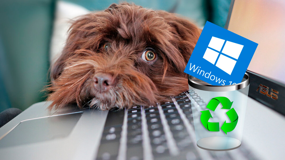 В каких ситуациях Windows 10 нужно сбрасывать до заводских настроек