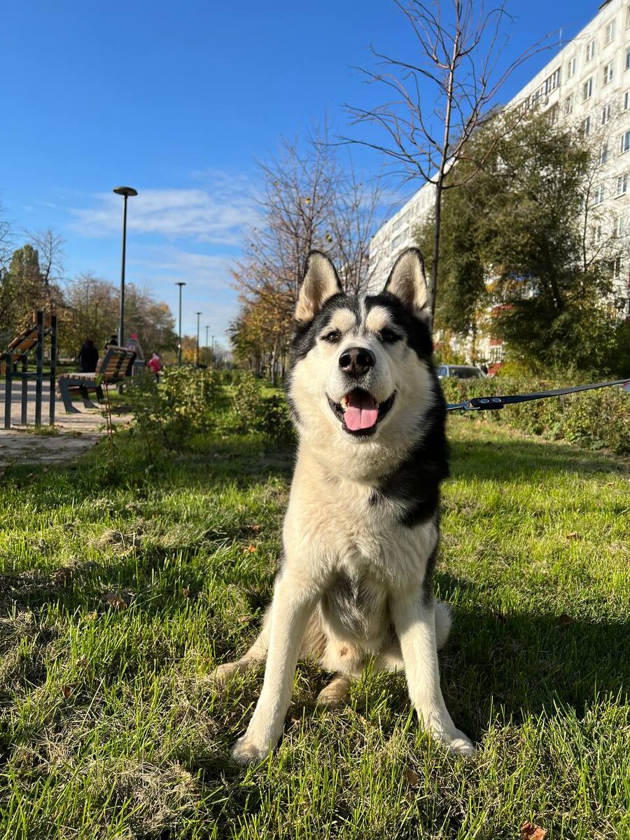 Тимьян. Молод, ласков, огромен!!!