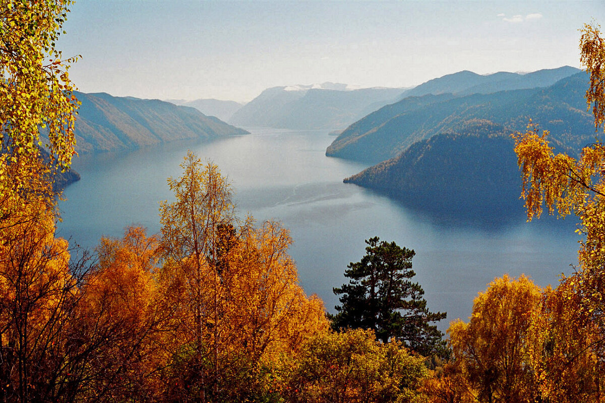 Телецкое озеро осенью. Источник фото: https://vsegda-pomnim.com/