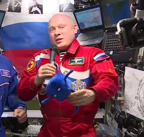    Стоп-кадр видео