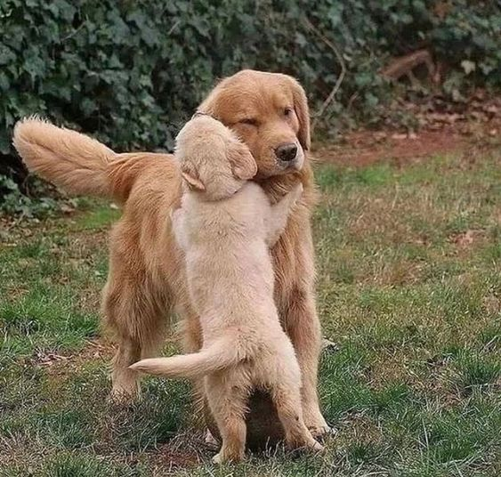 Взято/Источник: pinterest.com