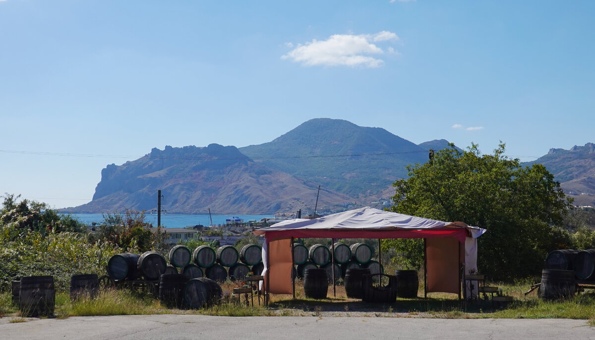 Вдали - вулкан Карадаг, главный виновник богатого вкуса вин местного терруара