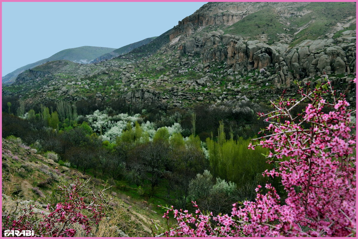 Фото интернета. Вот пришла зима на остров Кипр, которая даже по фото больше на весну похожа. Просто летом цветут одни растения, а зимой другие и их гораздо больше, чем летом, потому что нет этой испепеляющей жары.