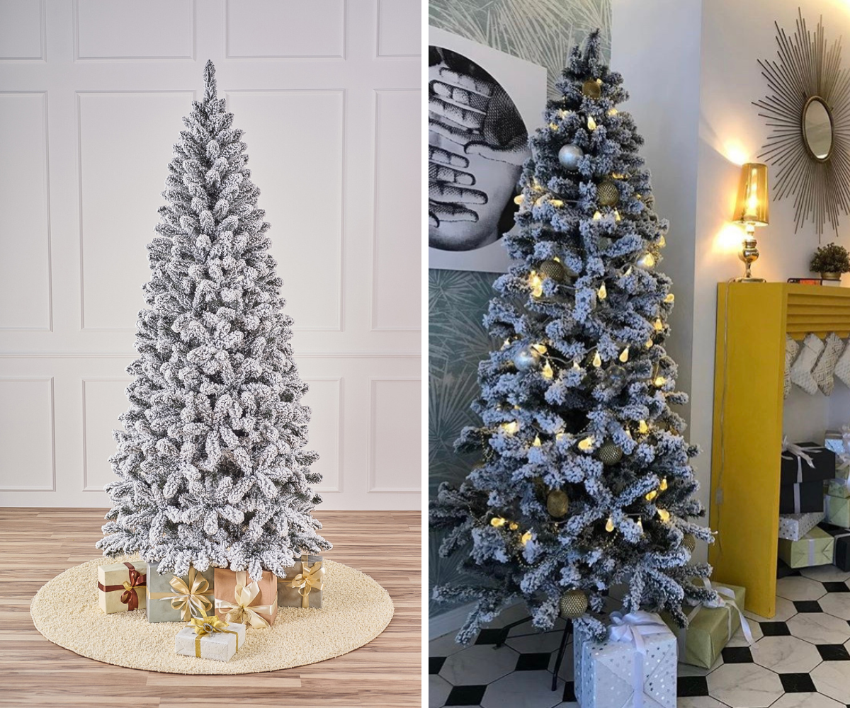 Северная ель — стройная заснеженная красавица, которая украсит даже самое компактное помещение