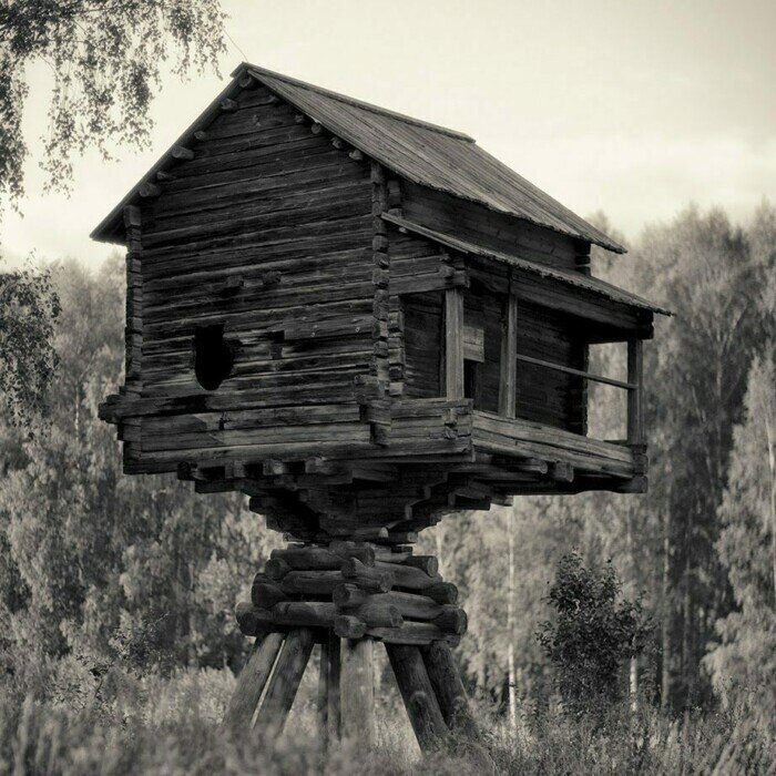 фото из свободного доступа.