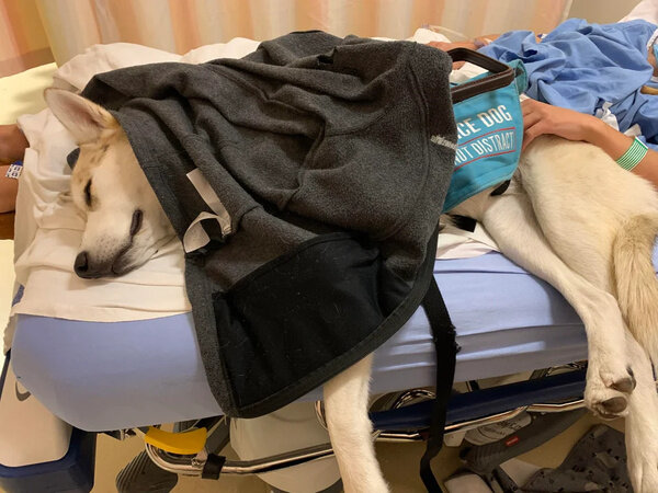 Фото © Reddit / comck77