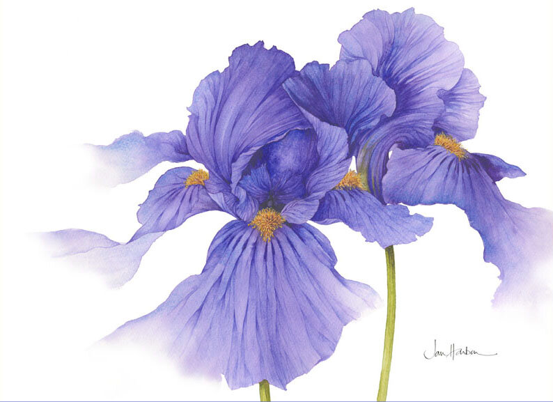 Фото из сети Интернет