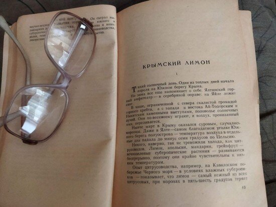     фото: Н. Готовчиков