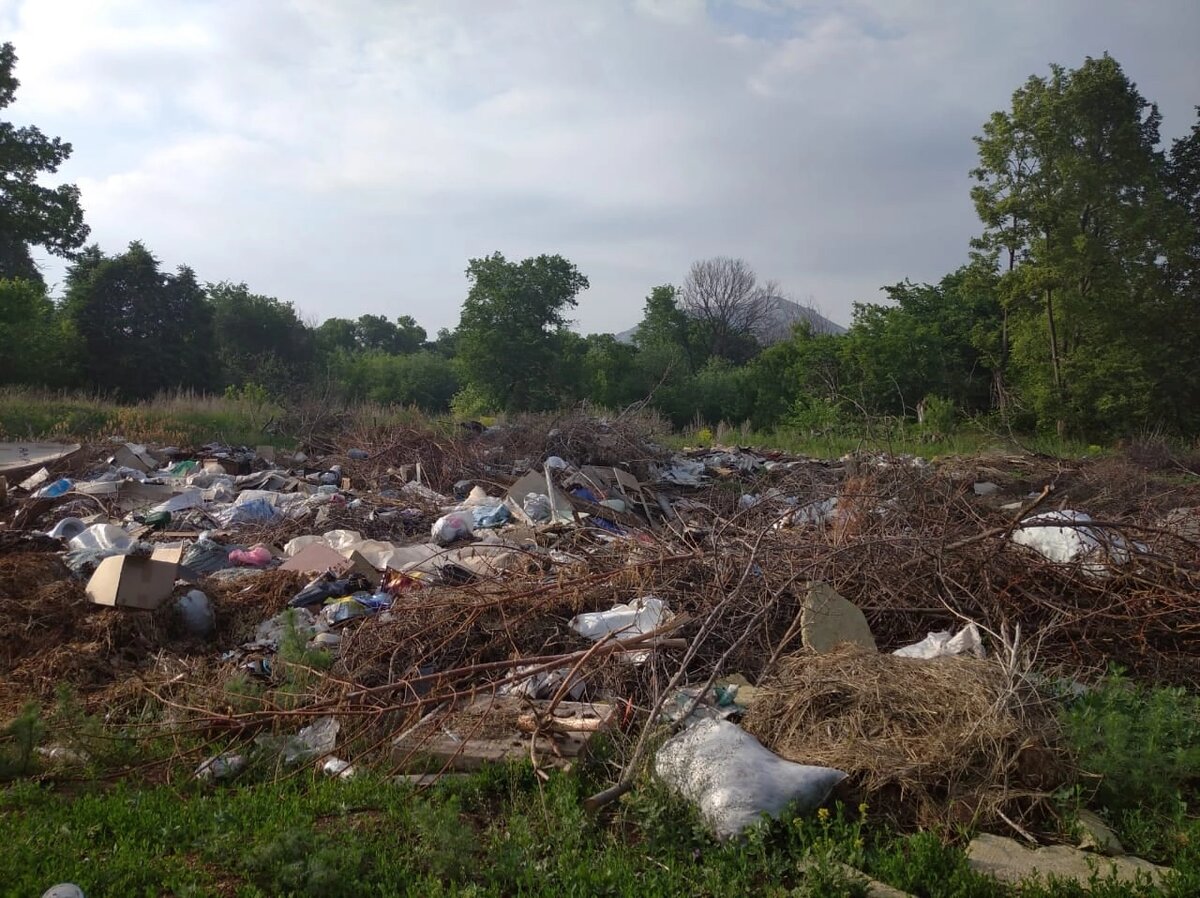 Несанкционированная свалка до подачи обращения
