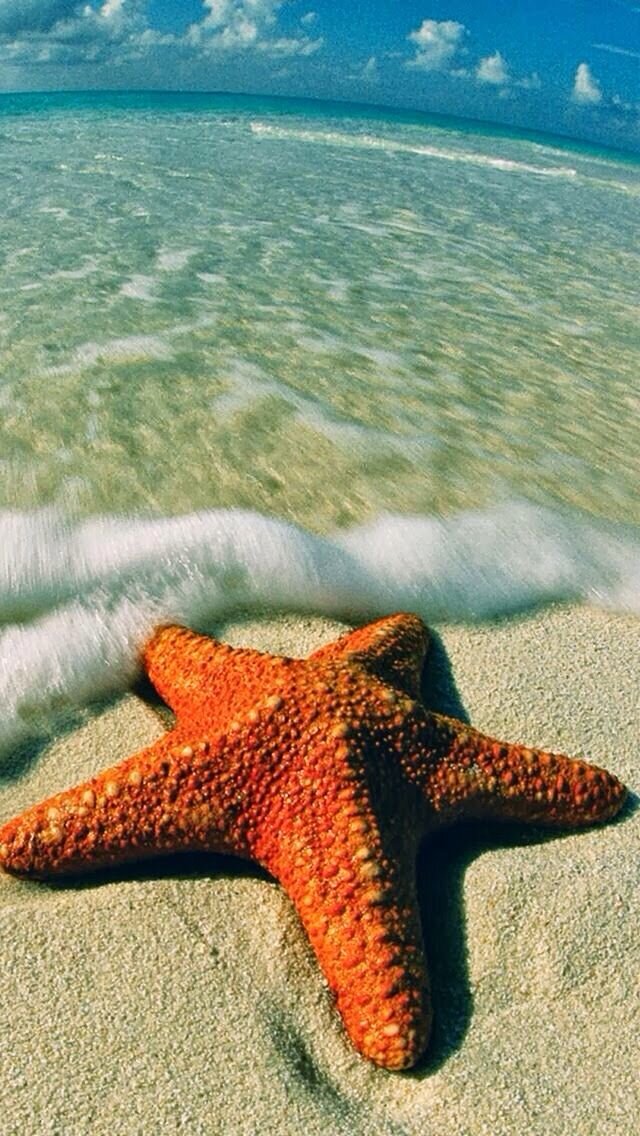 Из открытого доступа. 