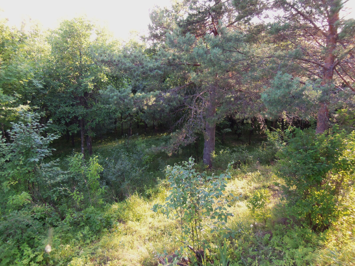 Вечер на Чугле (фото автора)