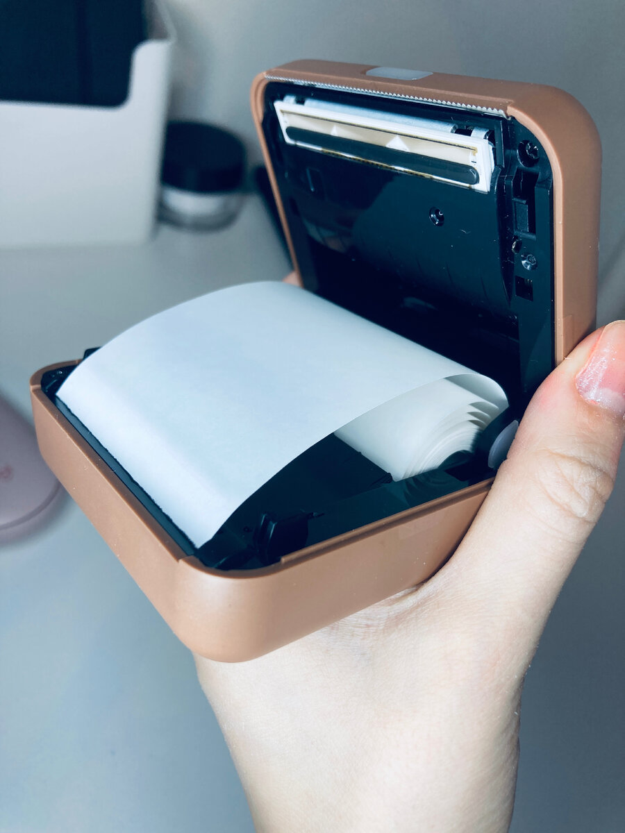 Печатающий элемент, полость с термобумагой внутри принтера.