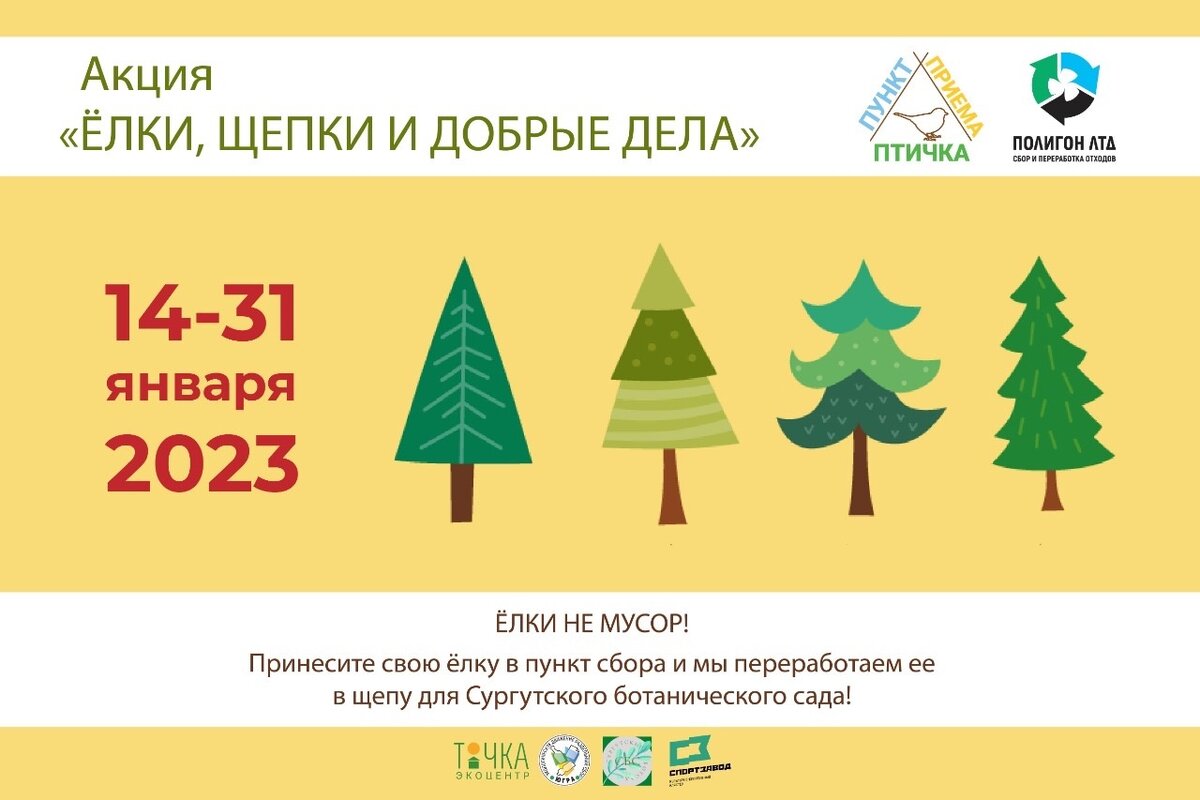    В Сургуте принимают елки на переработку