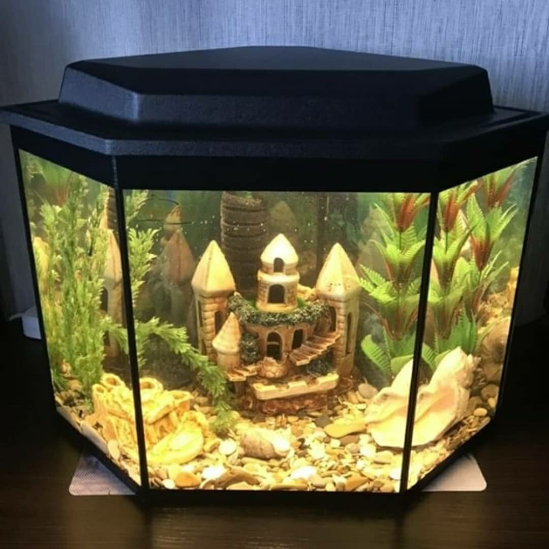 Зачастую так выглядит аквариум новичка. Фото взято с Яндекс-картинки