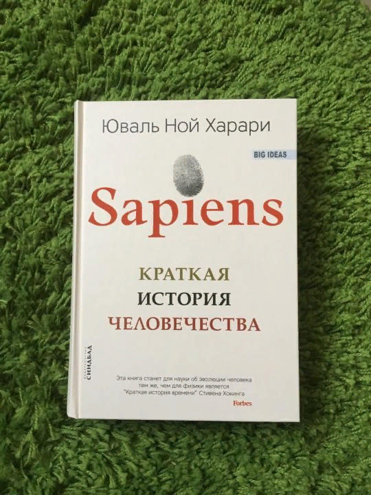 Sapiens юваль ной