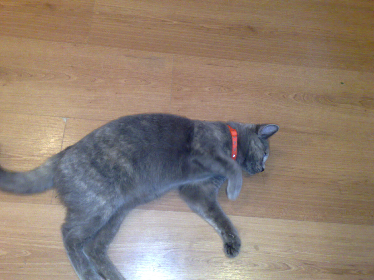 Театр. Рассуждения пожилой актрисы, рубящей правду-матку!