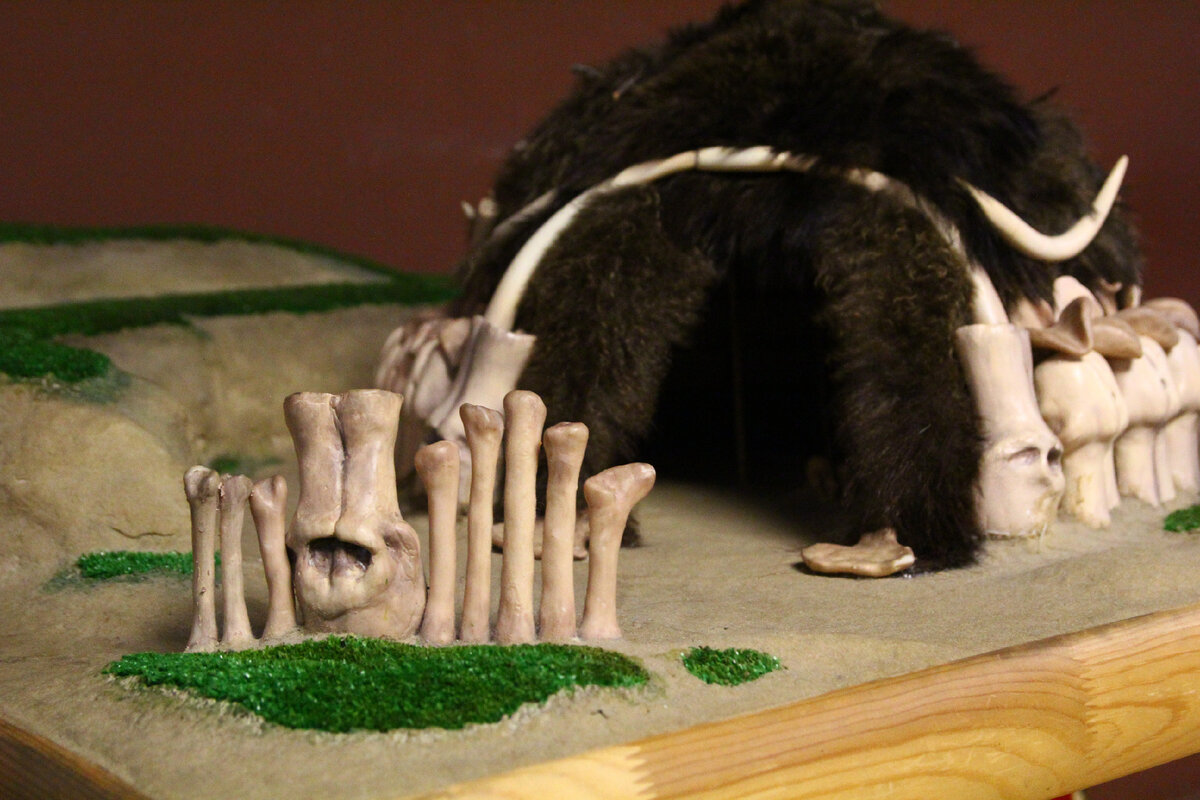 Если вы бывали когда нибудь в музее, из которого не хочется долго  уходить, то тогда вам стоит сходить и в музей краеведения, который находится в Саратове, на ул.-28