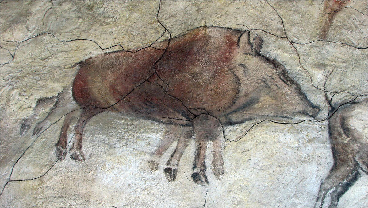 Рисунок кабана в пещере Альтамира (Испания). 