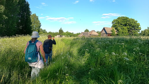 Заброшенные деревни в глуши Ярославской области