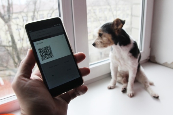 Фото: РИА Новости/Роман Владимиров