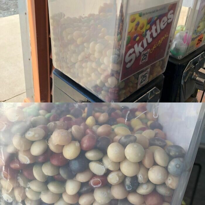 Фото: © instagram.com/theshittyfoodblog/