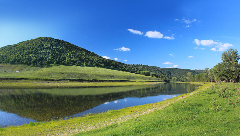 Фото из Яндекс.Картинки