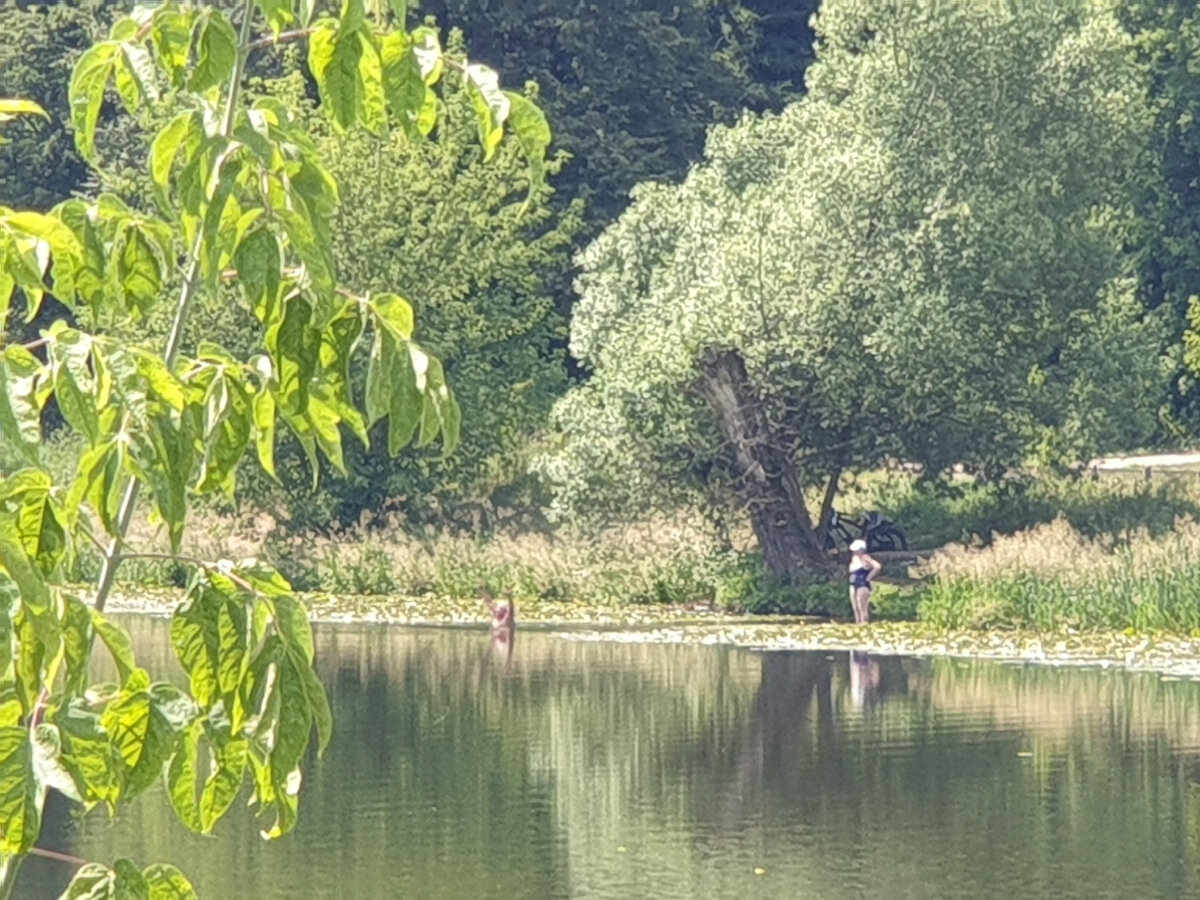 Купаются где только можно...