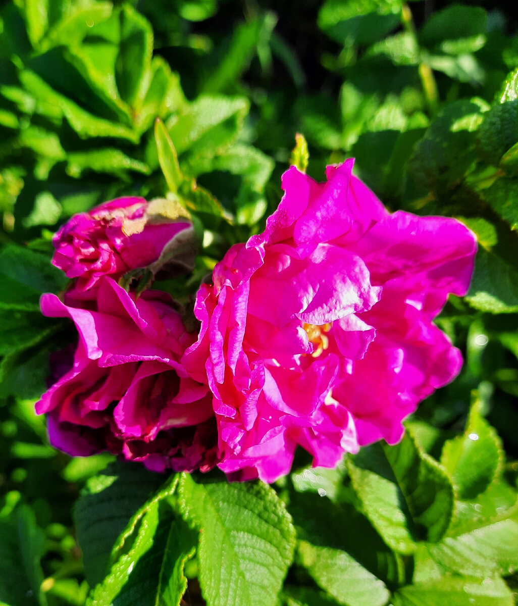 Фото из личного архива