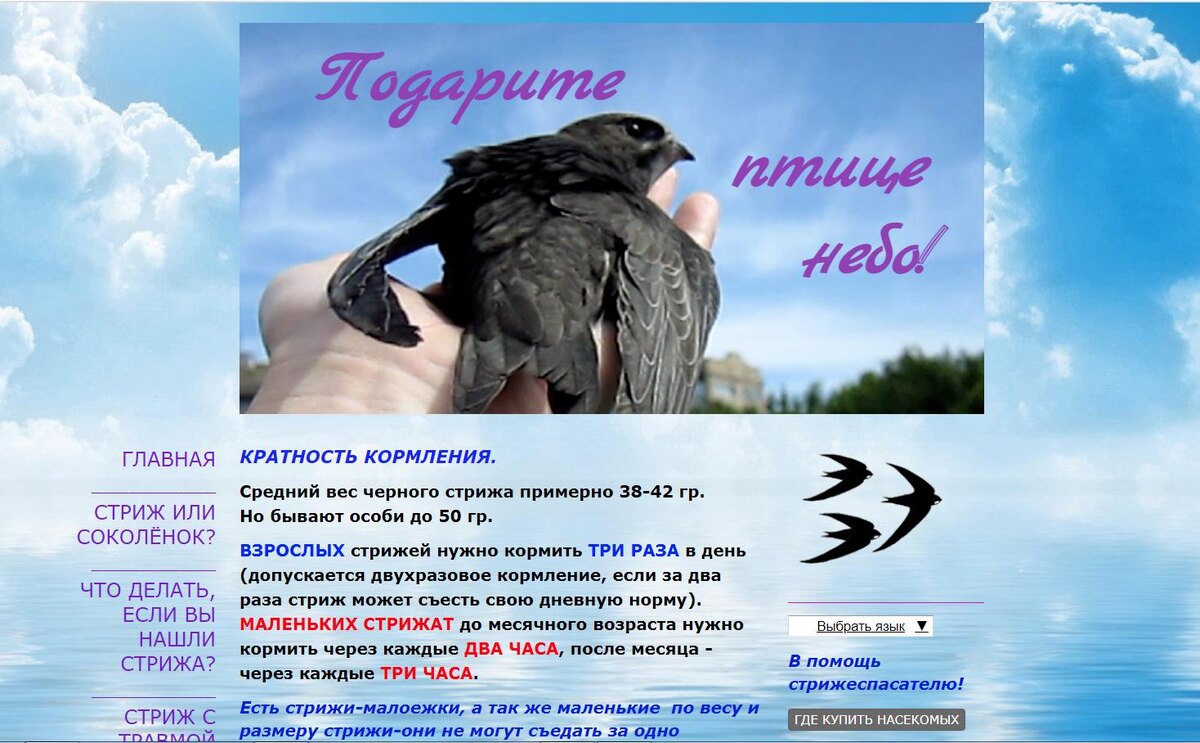 Вот так страница выглядит, по ссылке которая