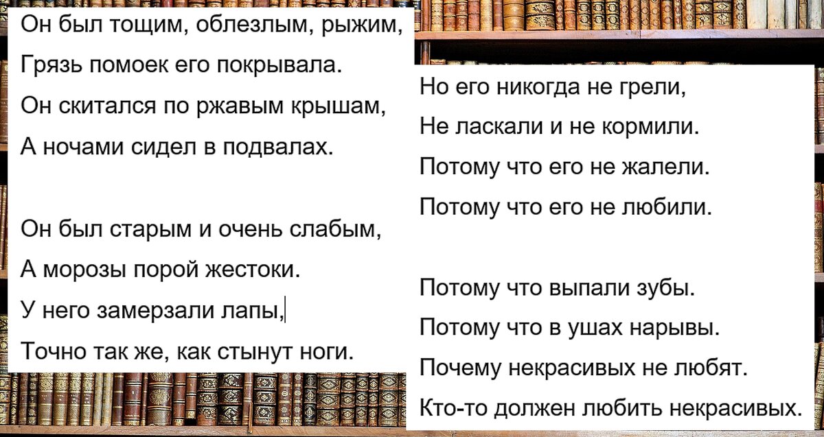 Бродский стих про украину текст. Бродский стихотворение про кота. Бродский про кота кто то должен любить некрасивых. Бродский стих о коте. Стих про рыжего кота Бродский.