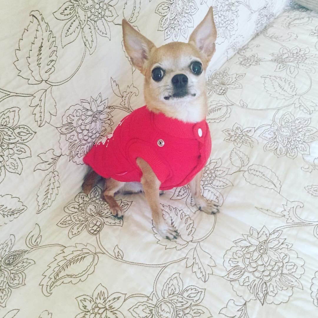 фото: Гела Гуралиа - https://www.facebook.com/gela.guralia